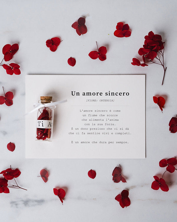 "Un Amore Sincero"